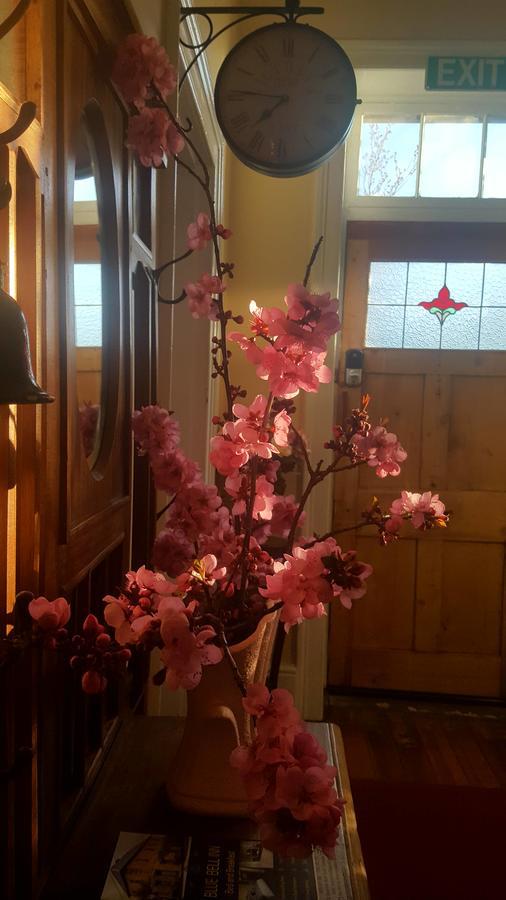 Blue Bell Inn Sorell Екстериор снимка