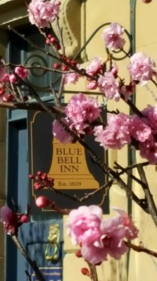 Blue Bell Inn Sorell Екстериор снимка