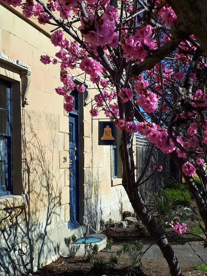 Blue Bell Inn Sorell Екстериор снимка